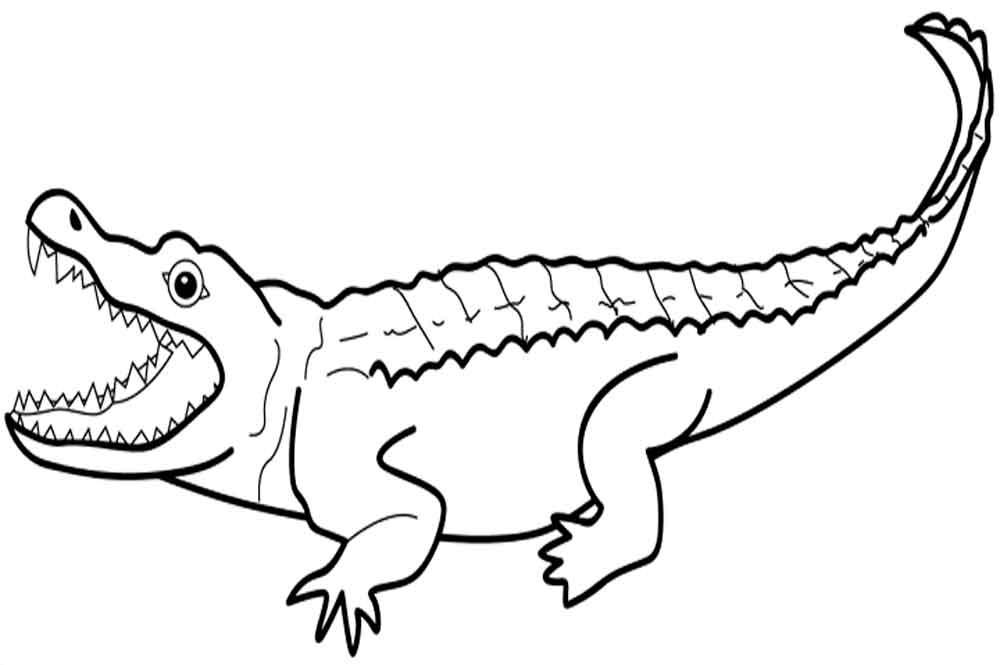 Раскраски крокодил  Скачать или распечатать раскраску, крокодил с открытой пастью