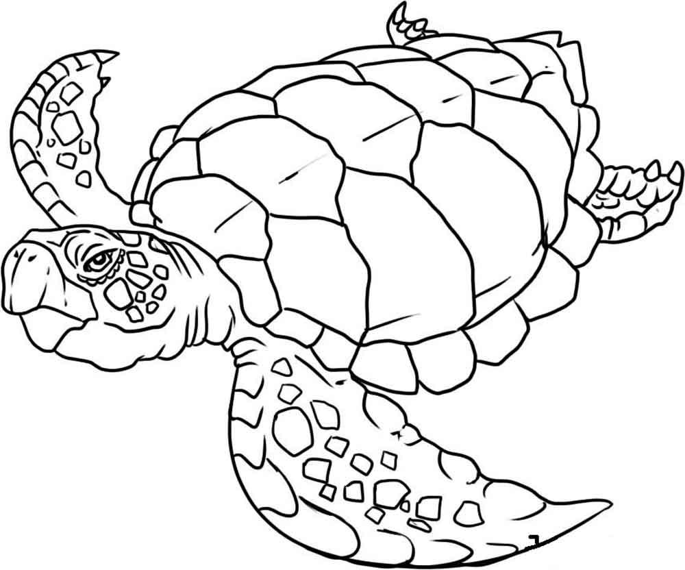   Скачать или распечатать раскраску, черепаха морская