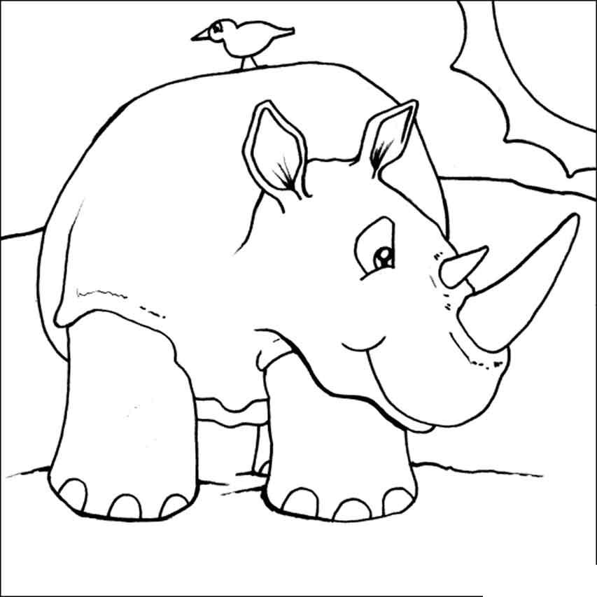 Раскраски носороги  Скачать или распечатать раскраску, носорог с птицей