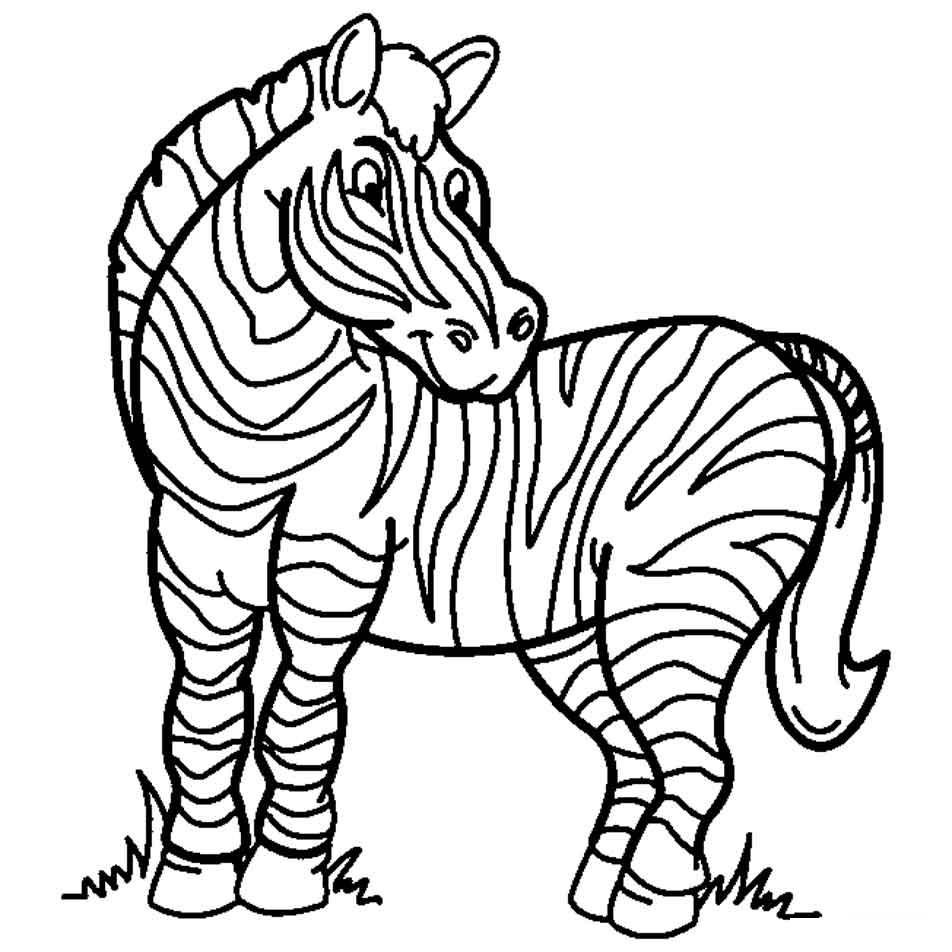Раскраски зебры  Скачать или распечатать раскраску, зебра