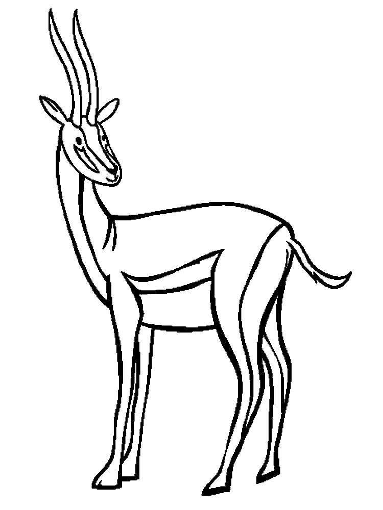 Раскраска с антилопой  Раскраски для девочек животные, антилопа