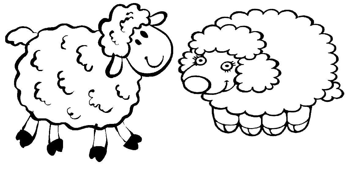 Раскраски овечки, бараны, ягнята  Овечки