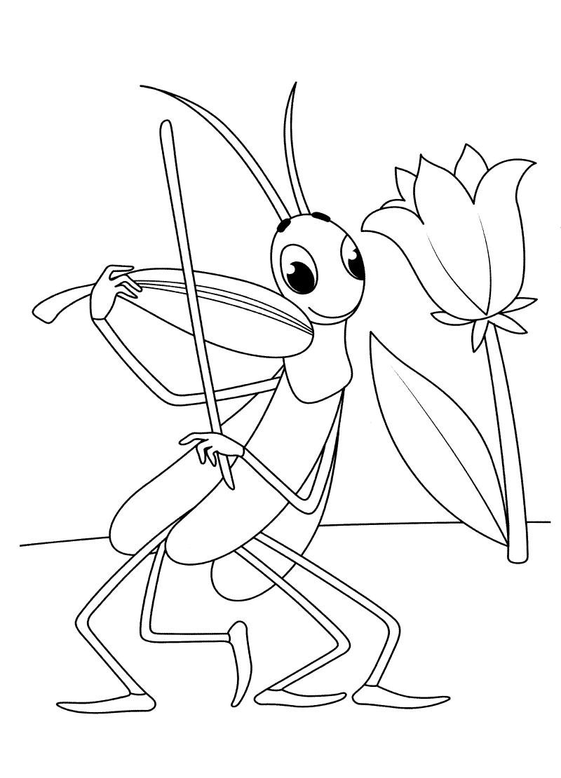   Раскраска кузнечик играет на скрипке около цветка