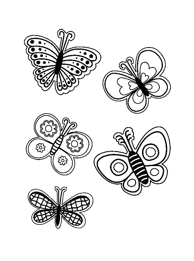   бабочки, бабочки летают