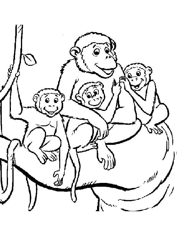 Раскраска обезьянка | Раскраски, Рисунок, Обезьяна