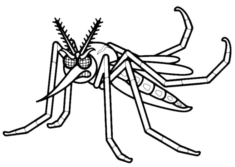   злой комар