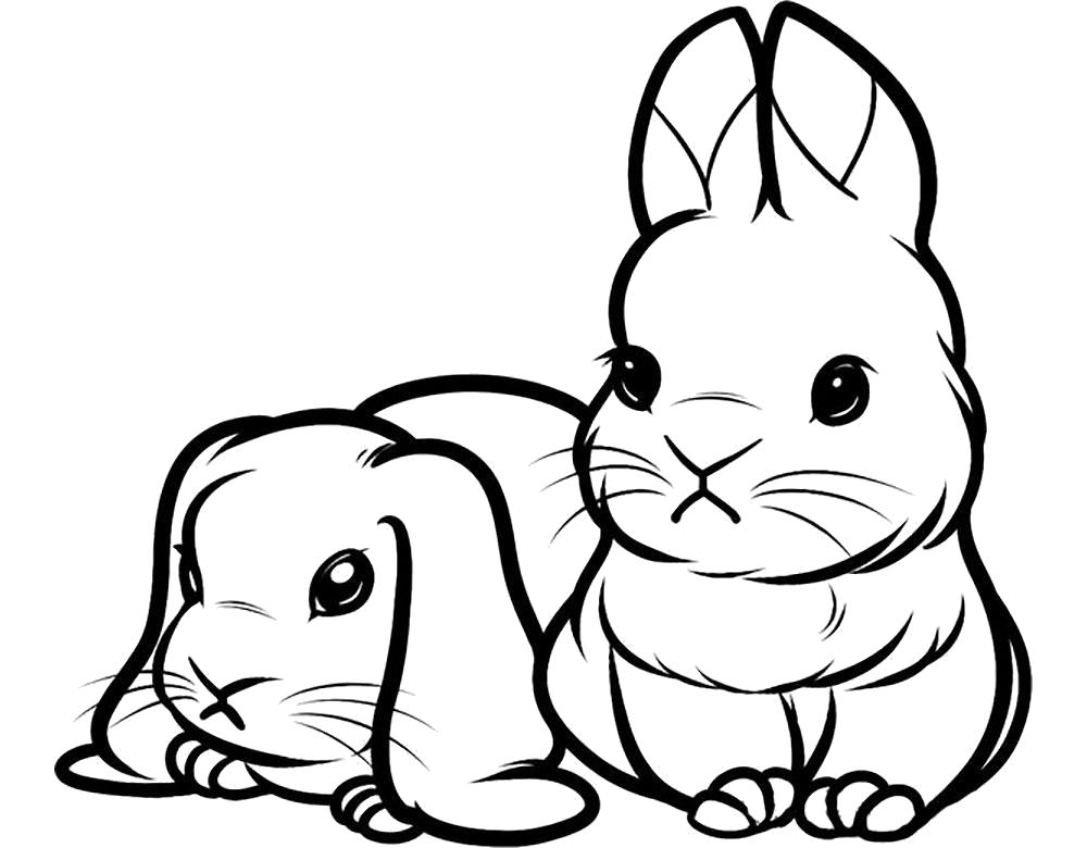   Раскраска кролики, милые кролики