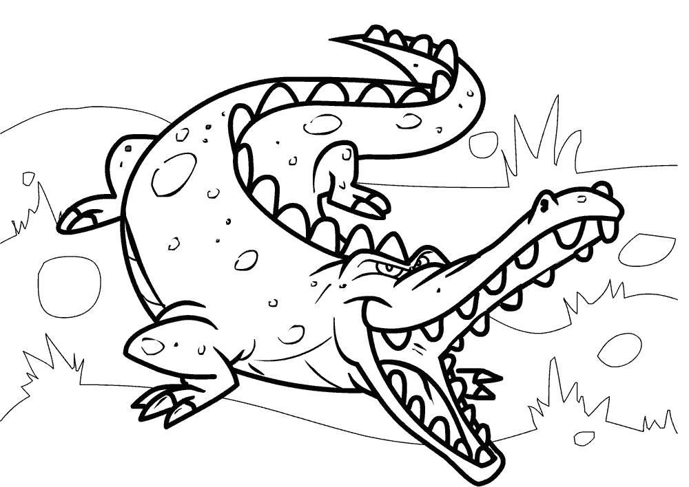 Раскраски крокодил  Злой крокодил готов к нападению.