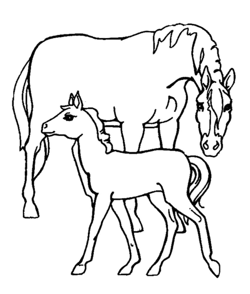   Раскраска лошадь