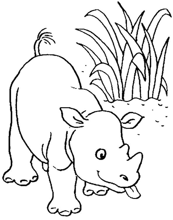 Раскраски носороги  игручий носорог