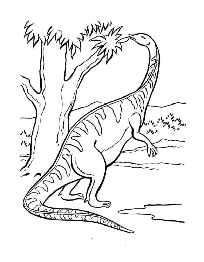   Раскраски динозавр кушает листву