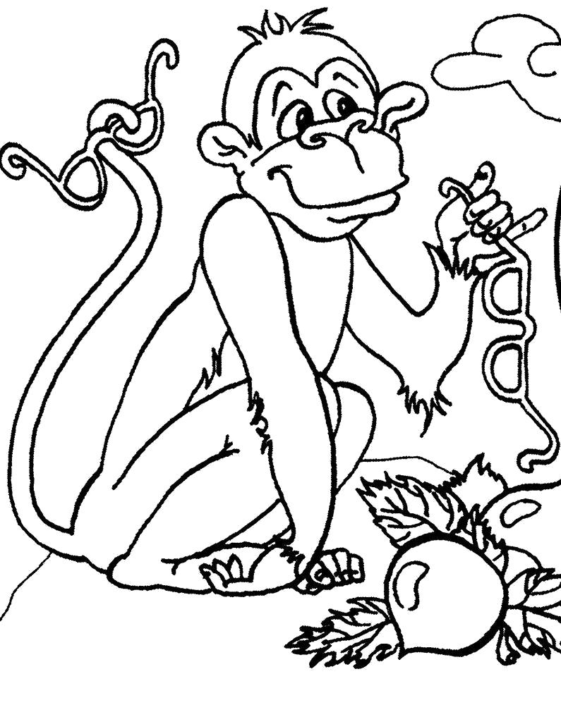   Раскраска обезьянка