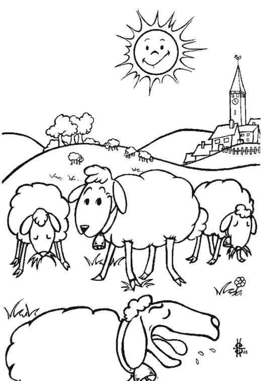 Раскраски овечки, бараны, ягнята  Овечки