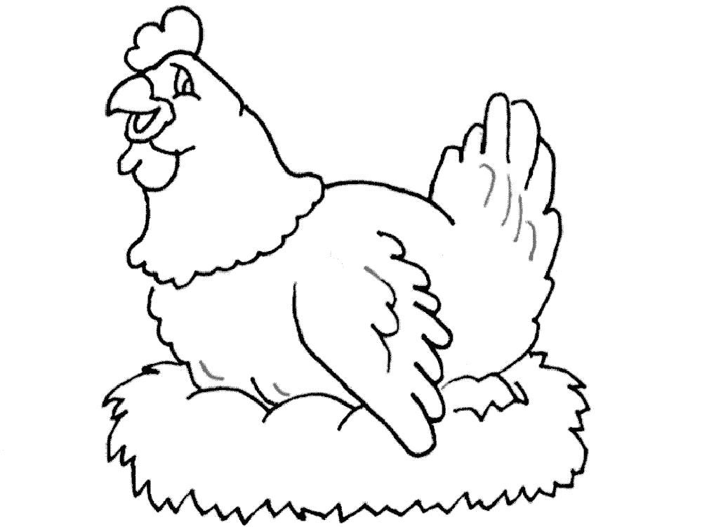 Раскраска курица – Развивающие иллюстрации