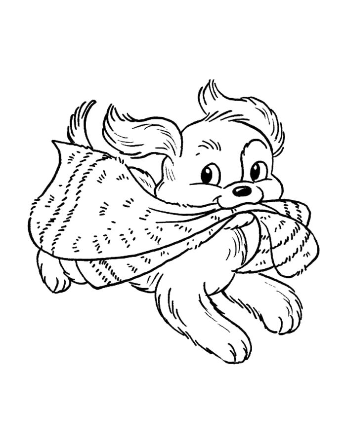   Раскраска щенок играется с шарфом