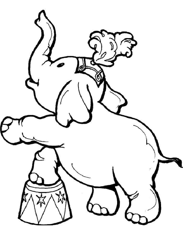   Раскраска слон цирковой