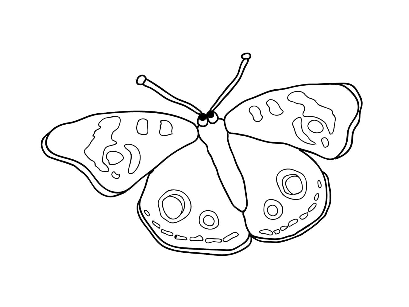   бабочка с узорами