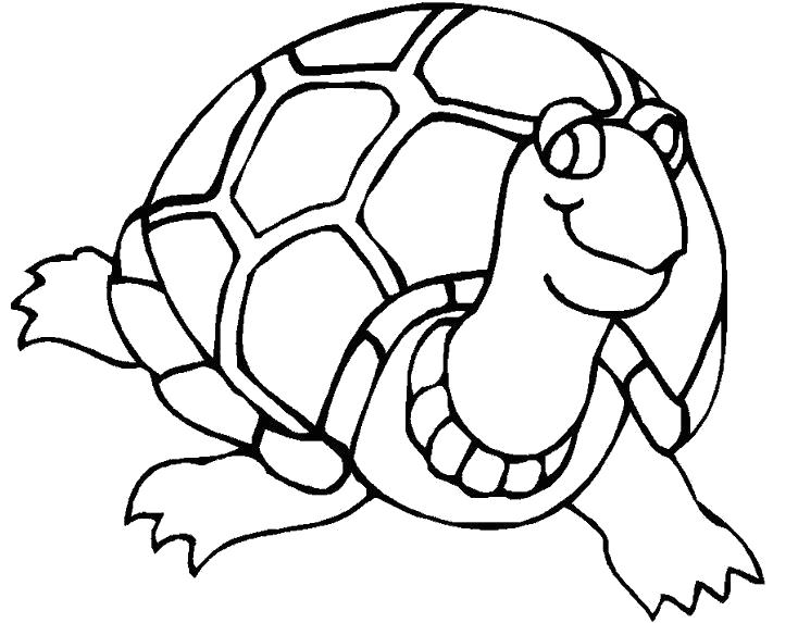 Раскраски черепаха  смешная черепашка