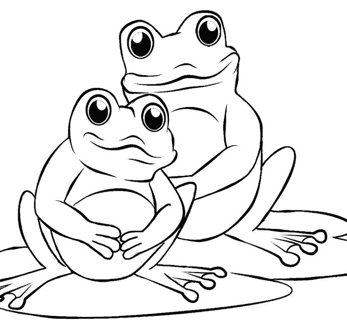 Раскраски лягушки, жабы  frog
