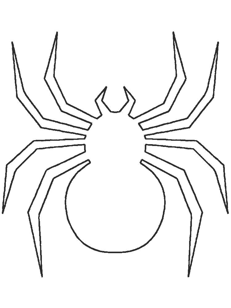   Раскраска паук. Контур паука