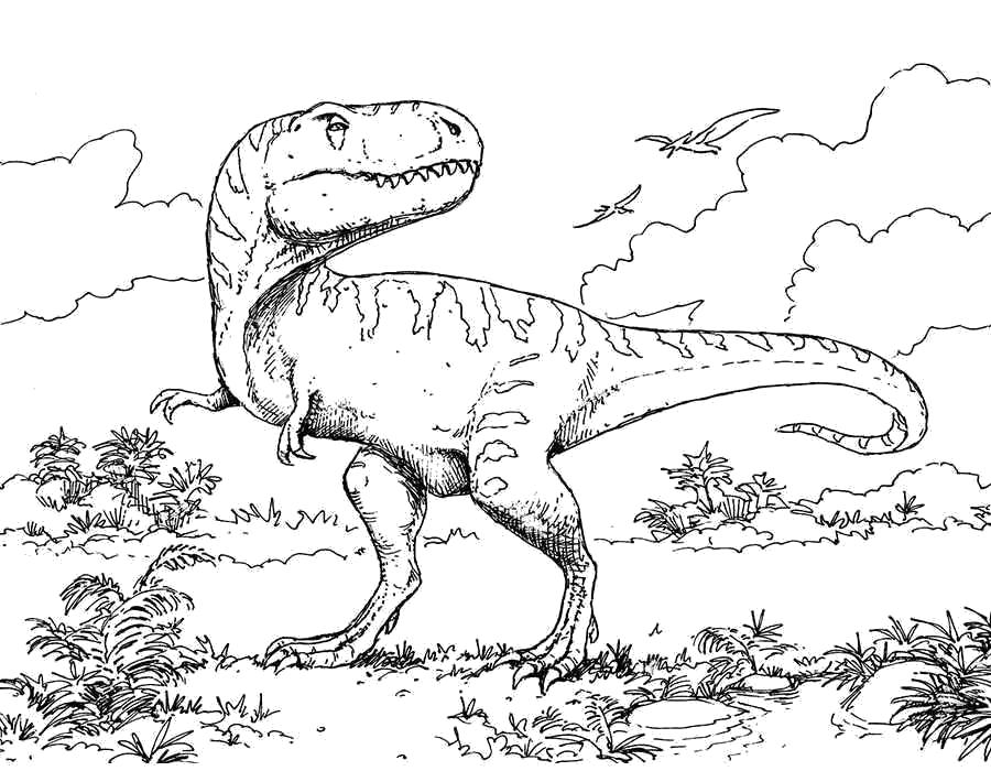   Раскраски динозавры