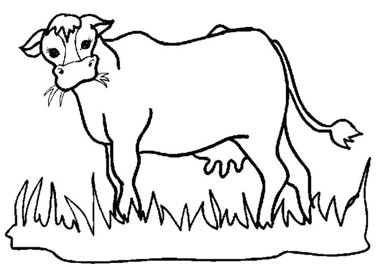 Раскраски домашняя корова  Коровка жуёт траву