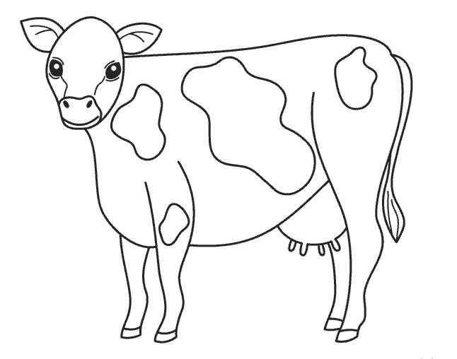 Раскраски домашняя корова  Коровка в пятнышках