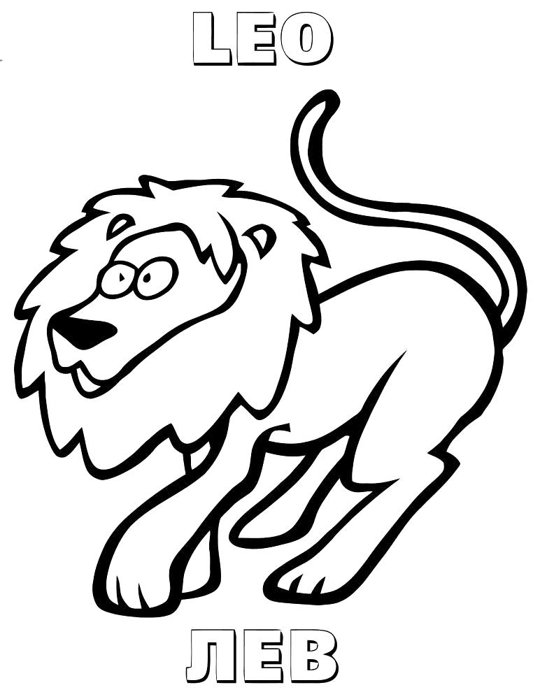 Раскраски лев, львы, львицы, львенок  Лев