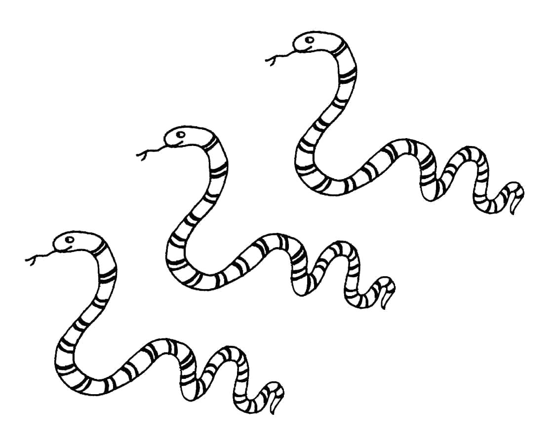 Раскраски змея  Три змеи
