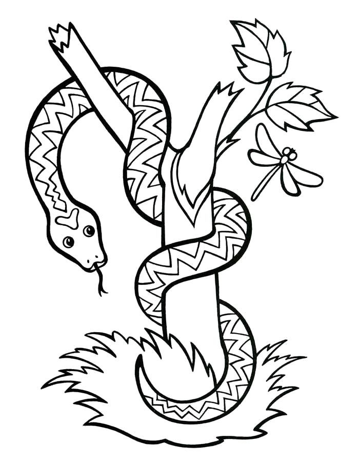 Раскраски змея  Древесная змея