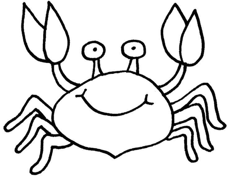   crab