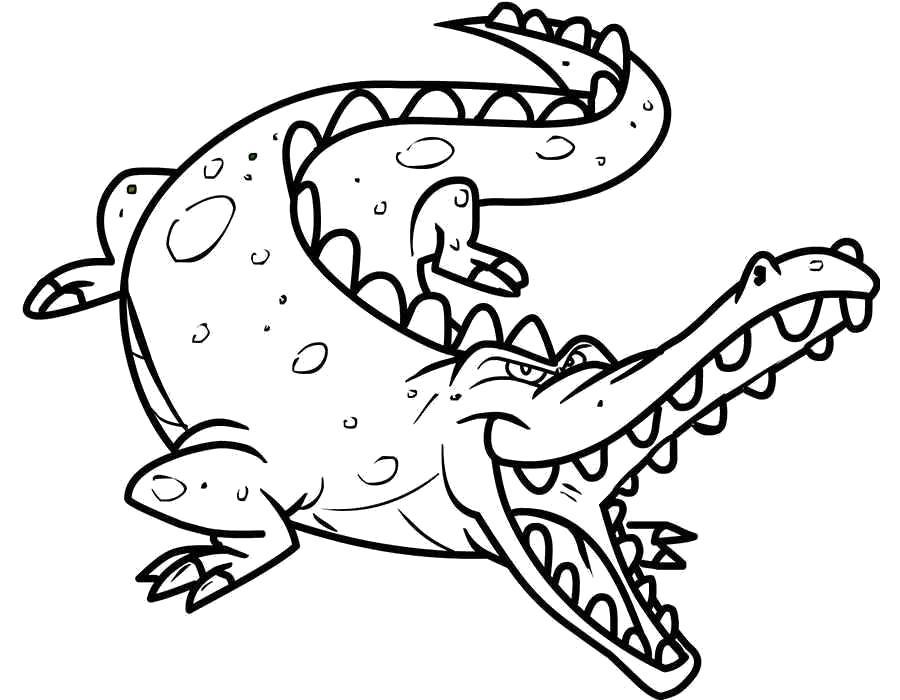 Раскраски крокодил  Раскраска крокодил