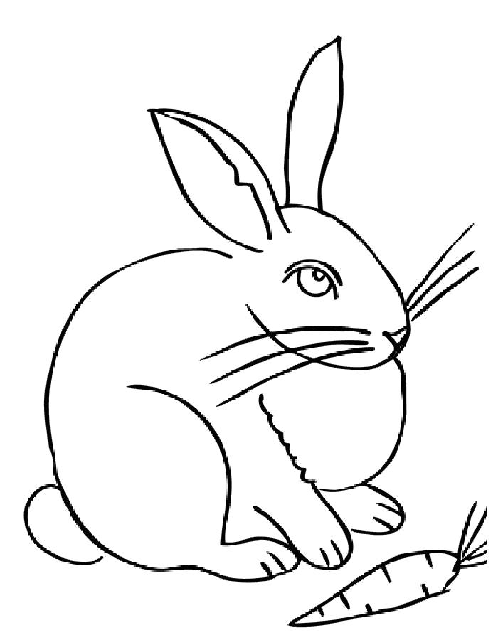   Раскраска кролик с морковкой