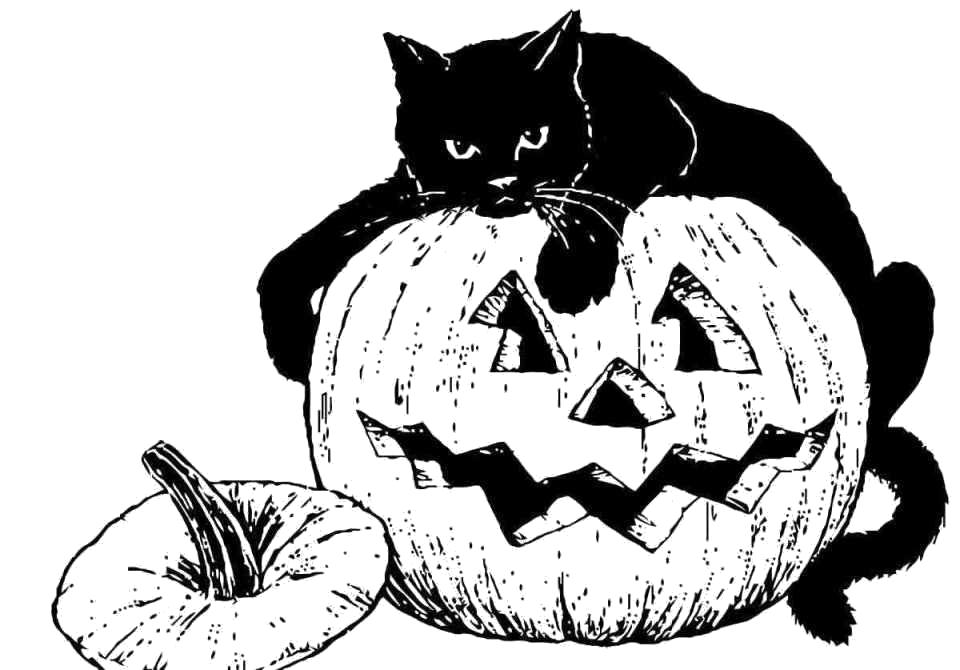   праздник Хэллоуин,  кошка лежит на тыкве, лицо из тыквы