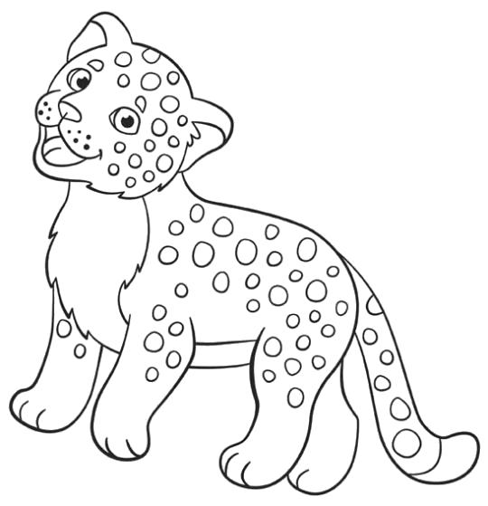 Раскраски леопард  Леопардик