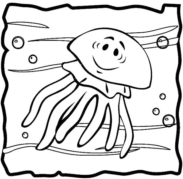   медуза морская