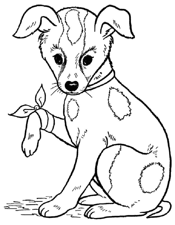   Раскраска щенок с больной лапкой