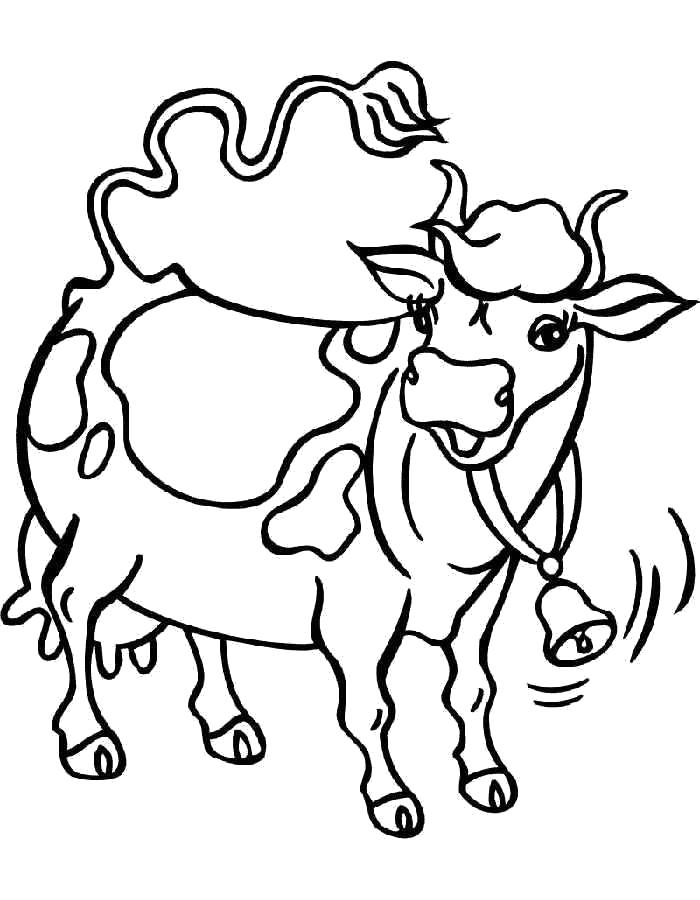 Раскраски домашняя корова  Раскраска корова с пятнами, корова с колокольчиком, 