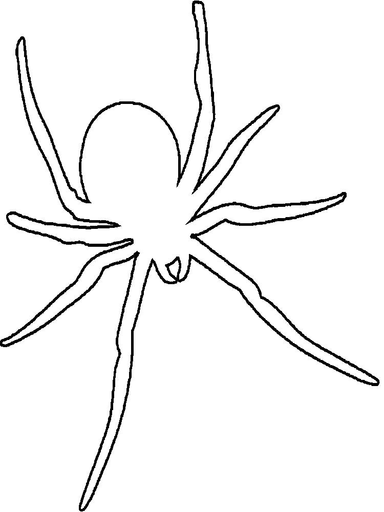   Раскраска паук контур для вырезания