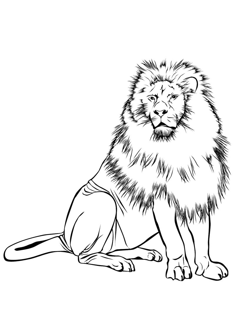 Раскраски лев, львы, львицы, львенок  Лев король.