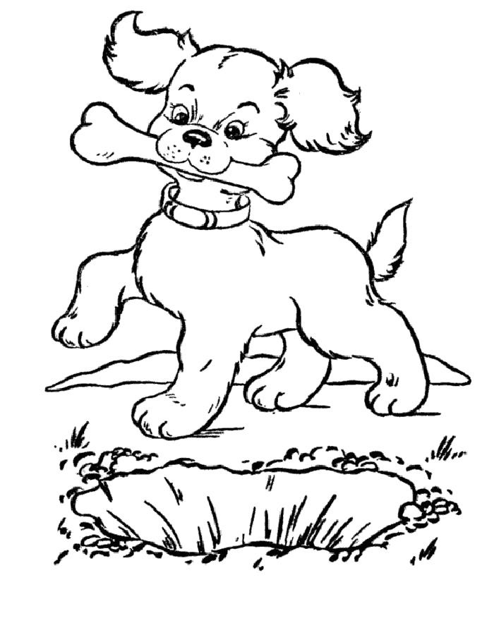   Раскраска щенок с косточкой