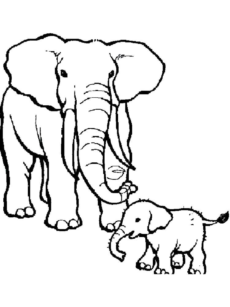   Раскраска слон и слоненок