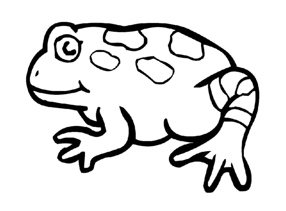 Раскраски лягушки, жабы  Раскраска лягушка