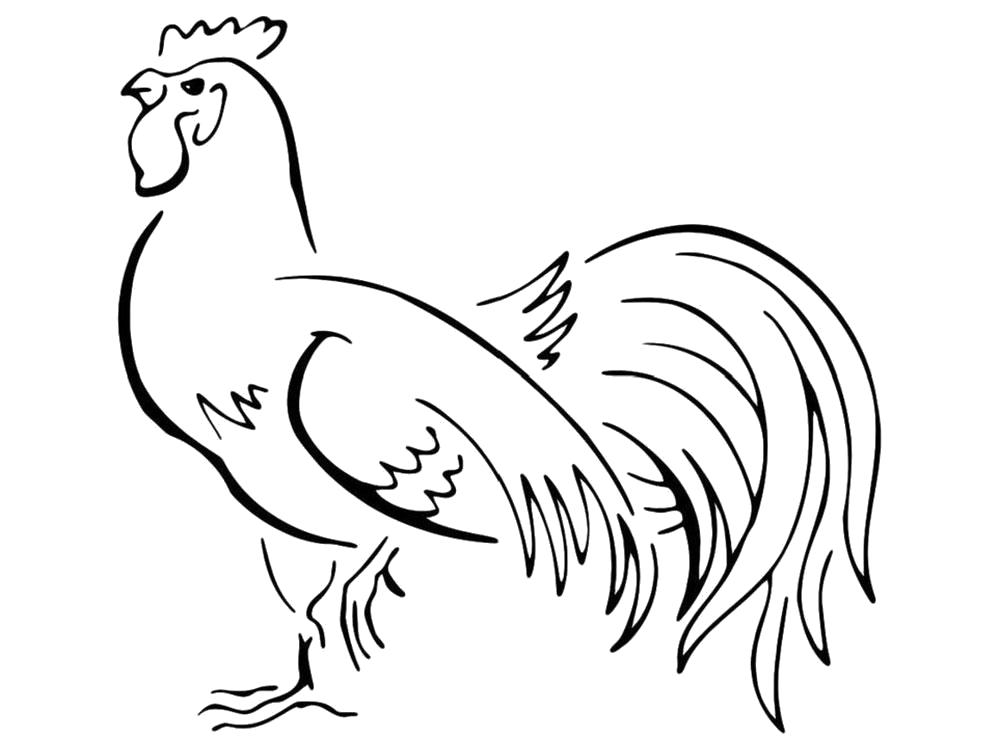   Раскраска курица