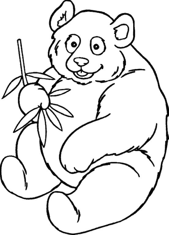 Раскраски панда  Мишка Панда