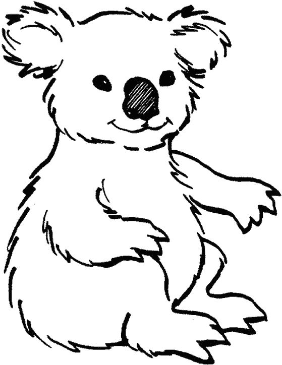 Раскраски коала  Мишка Коала