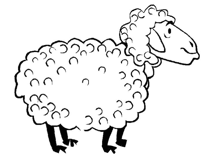 Раскраски овечки, бараны, ягнята  Овечка