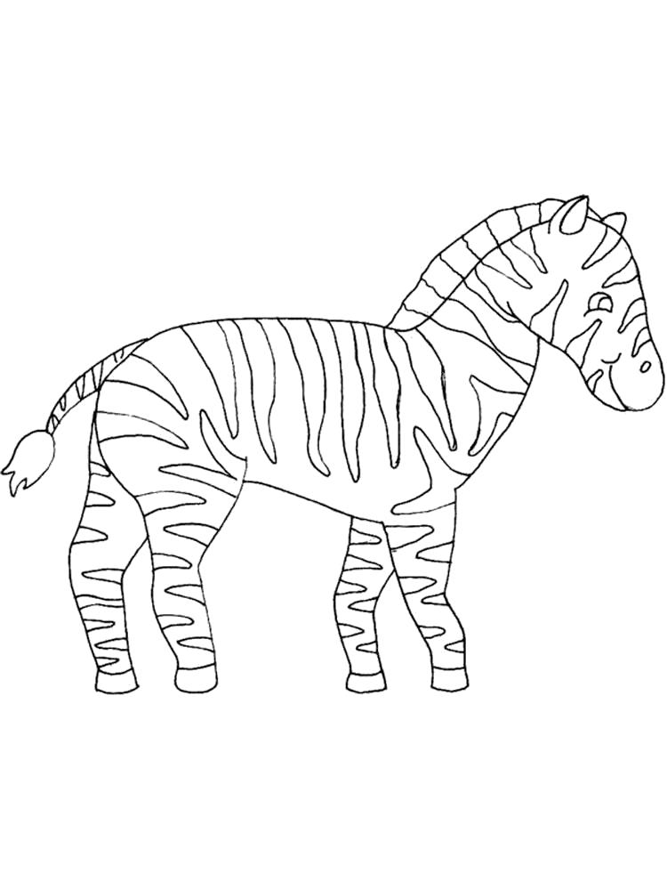 Раскраски зебры  