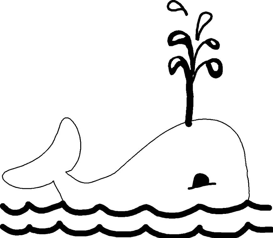 кит  кит плывет