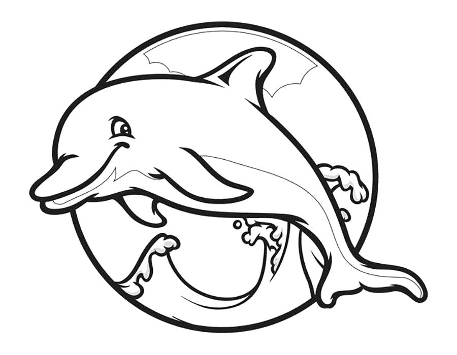   Счастливый дельфин